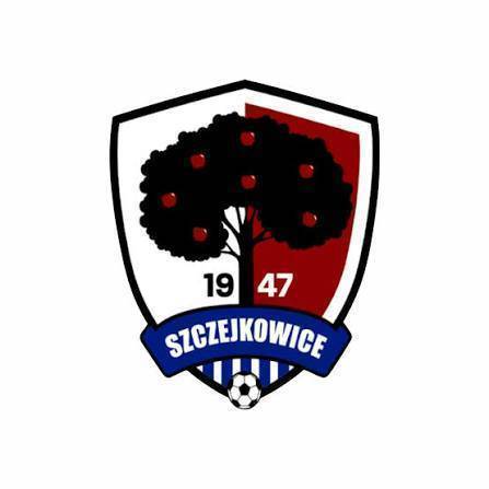 LKS BOROWIK SZCZEJKOWICE